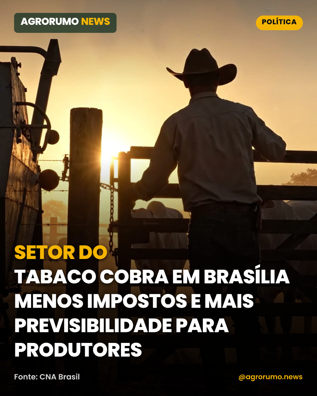Setor do tabaco cobra em Brasília menos impostos e mais previsibilidade para produtores
