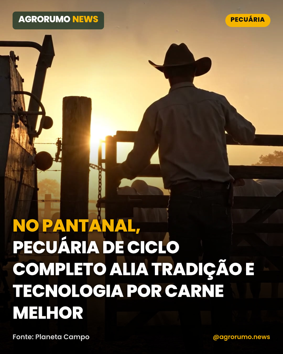 No Pantanal, pecuária de ciclo completo alia tradição e tecnologia por carne melhor