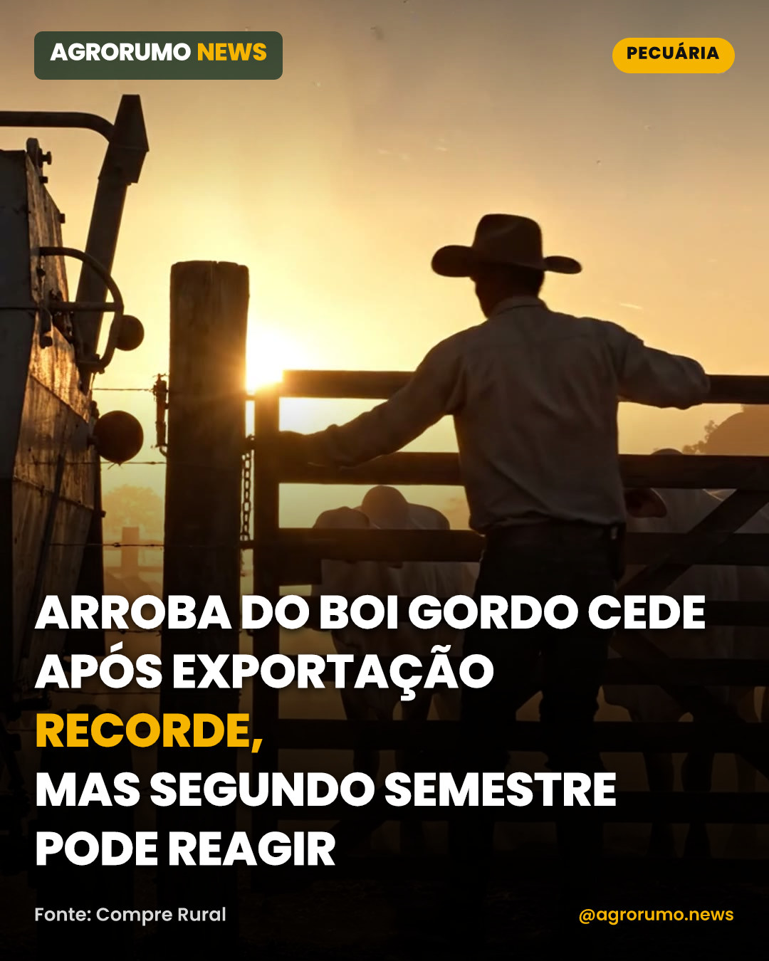 Arroba do boi gordo cede após exportação recorde, mas segundo semestre pode reagir