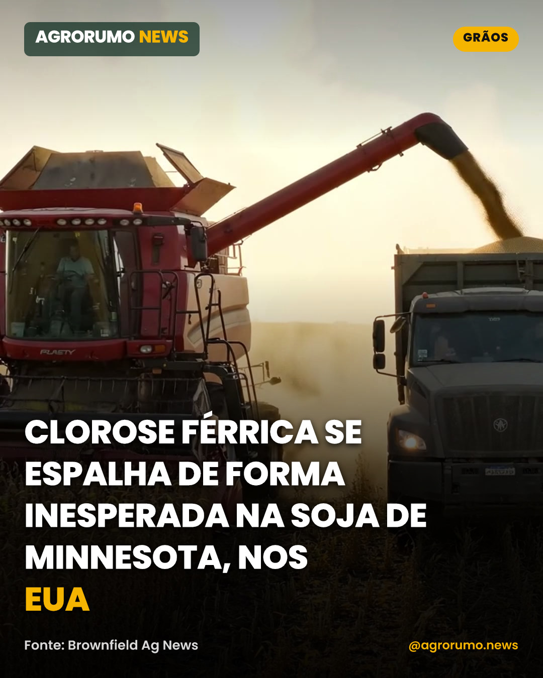 Clorose férrica se espalha de forma inesperada na soja de Minnesota, nos EUA