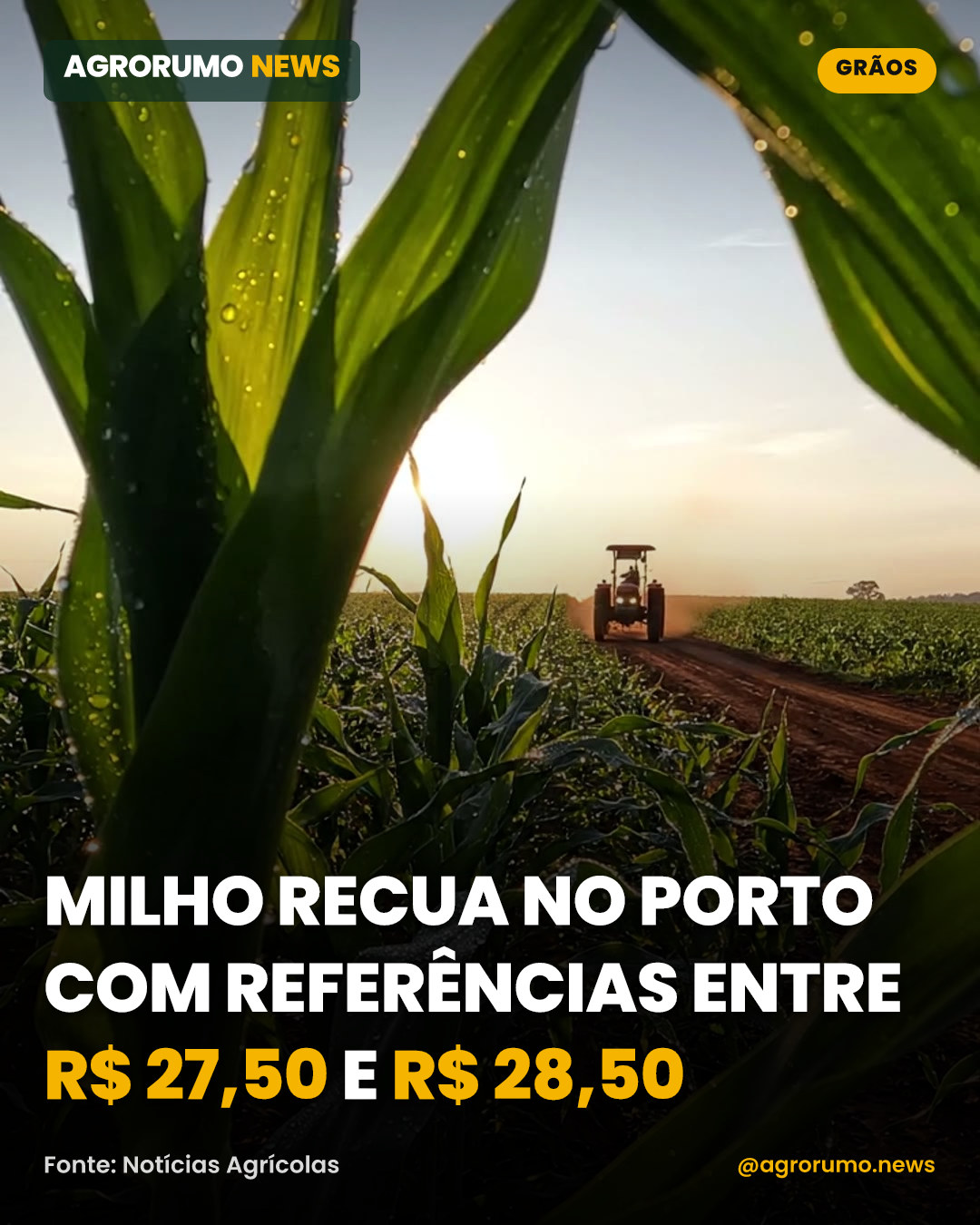 Milho recua no porto com referências entre R$ 27,50 e R$ 28,50
