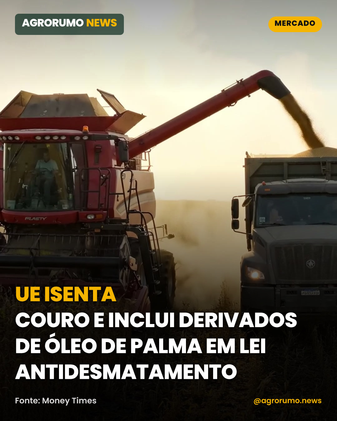 UE isenta couro e inclui derivados de óleo de palma em lei antidesmatamento