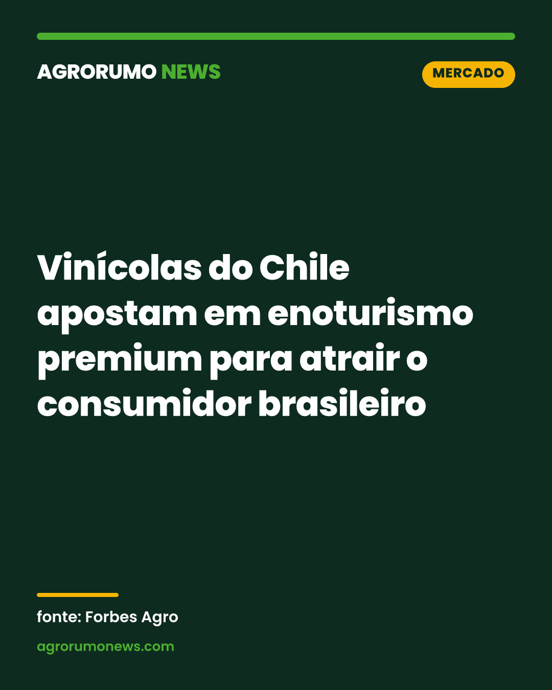 Vinícolas do Chile apostam em enoturismo premium para atrair o consumidor brasileiro