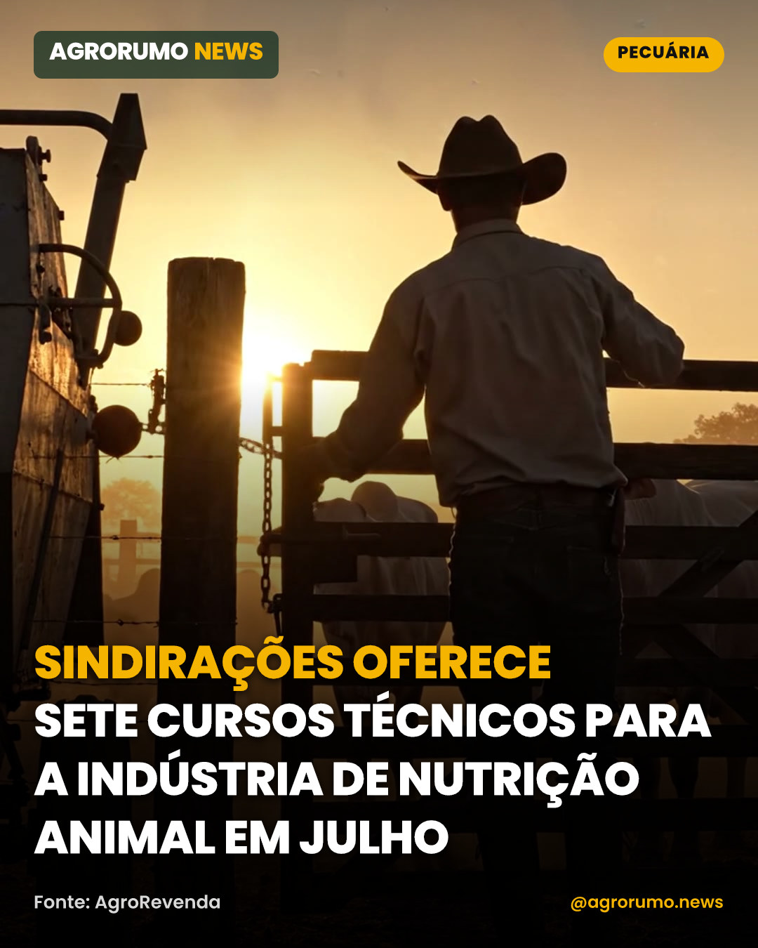 Sindirações oferece sete cursos técnicos para a indústria de nutrição animal em julho