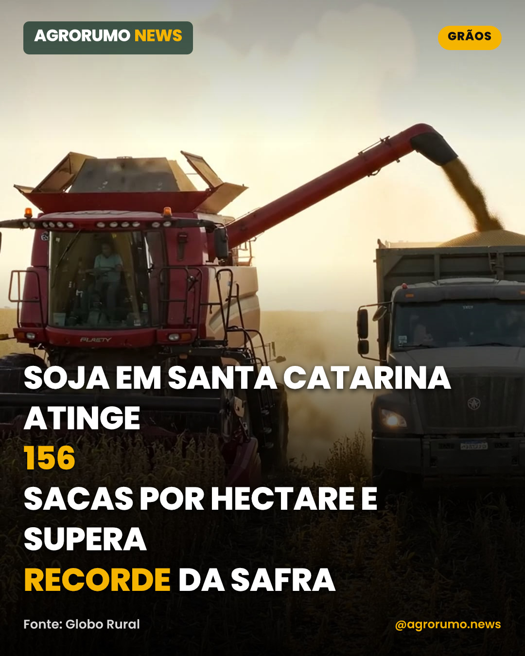 Soja em Santa Catarina atinge 156 sacas por hectare e supera recorde da safra
