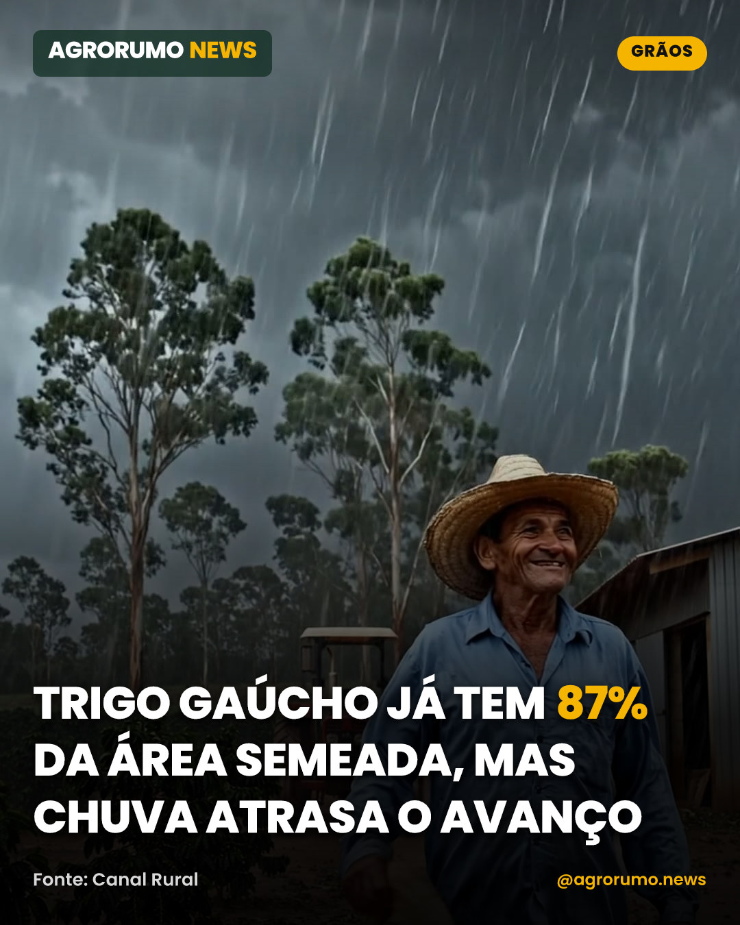 Trigo gaúcho já tem 87% da área semeada, mas chuva atrasa o avanço