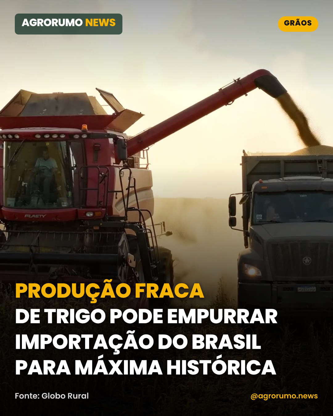 Produção fraca de trigo pode empurrar importação do Brasil para máxima histórica