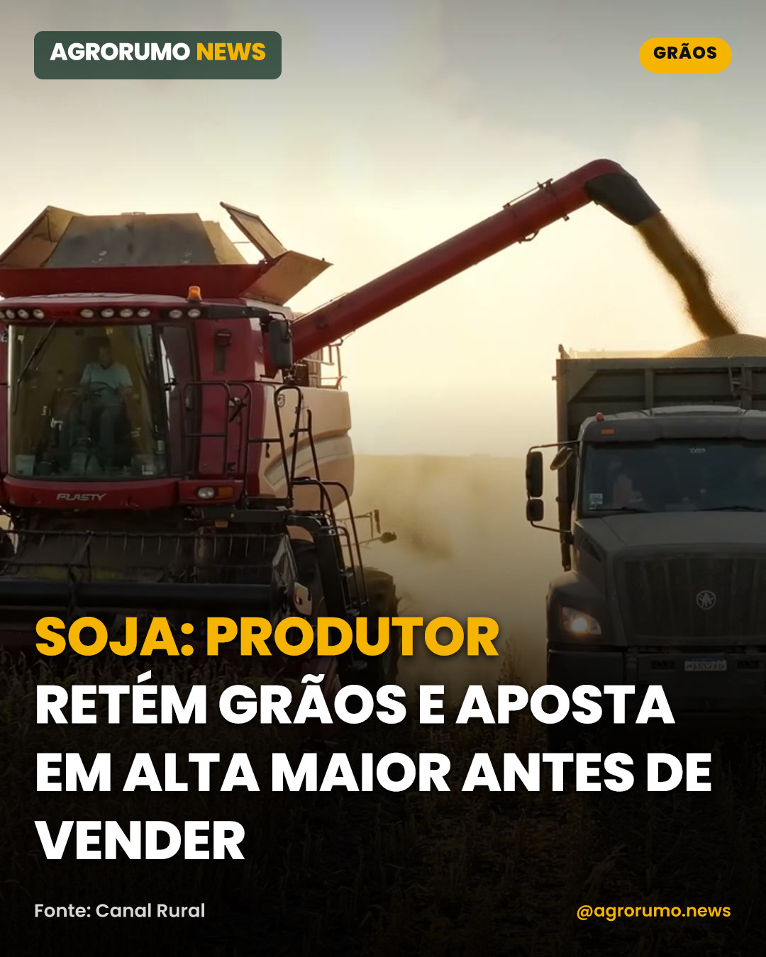 Soja: produtor retém grãos e aposta em alta maior antes de vender