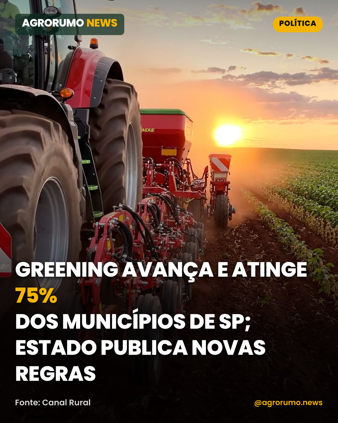 Greening avança e atinge 75% dos municípios de SP; estado publica novas regras