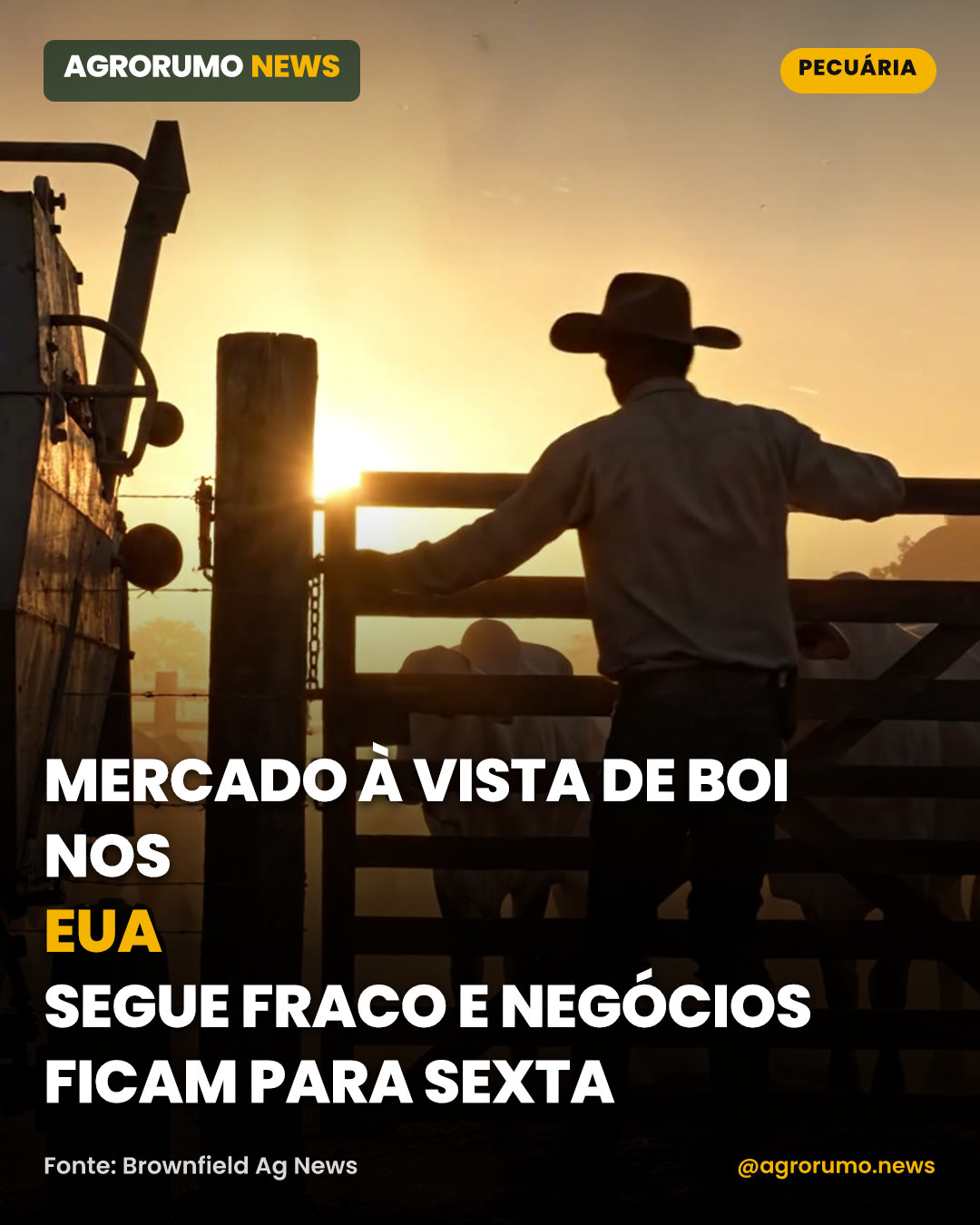 Mercado à vista de boi nos EUA segue fraco e negócios ficam para sexta
