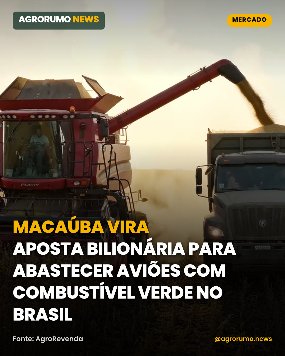 Macaúba vira aposta bilionária para abastecer aviões com combustível verde no Brasil