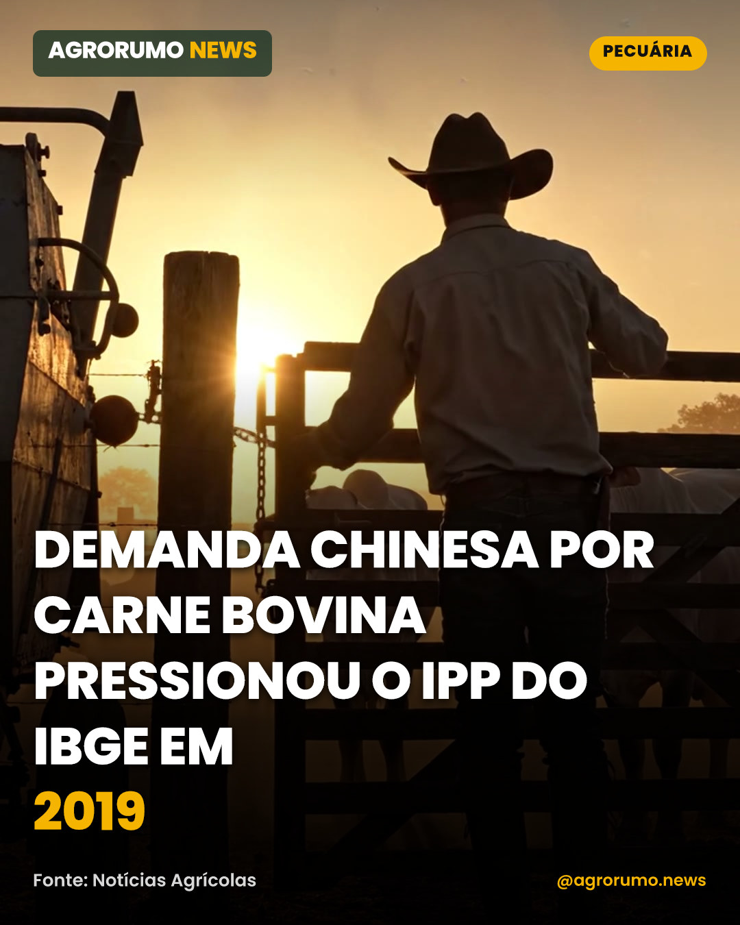 Demanda chinesa por carne bovina pressionou o IPP do IBGE em 2019