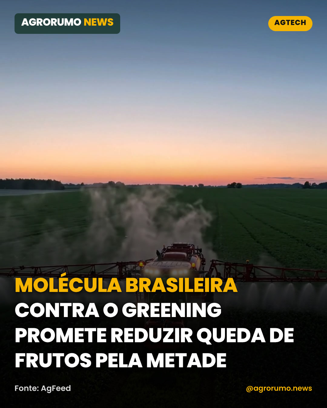 Molécula brasileira contra o greening promete reduzir queda de frutos pela metade