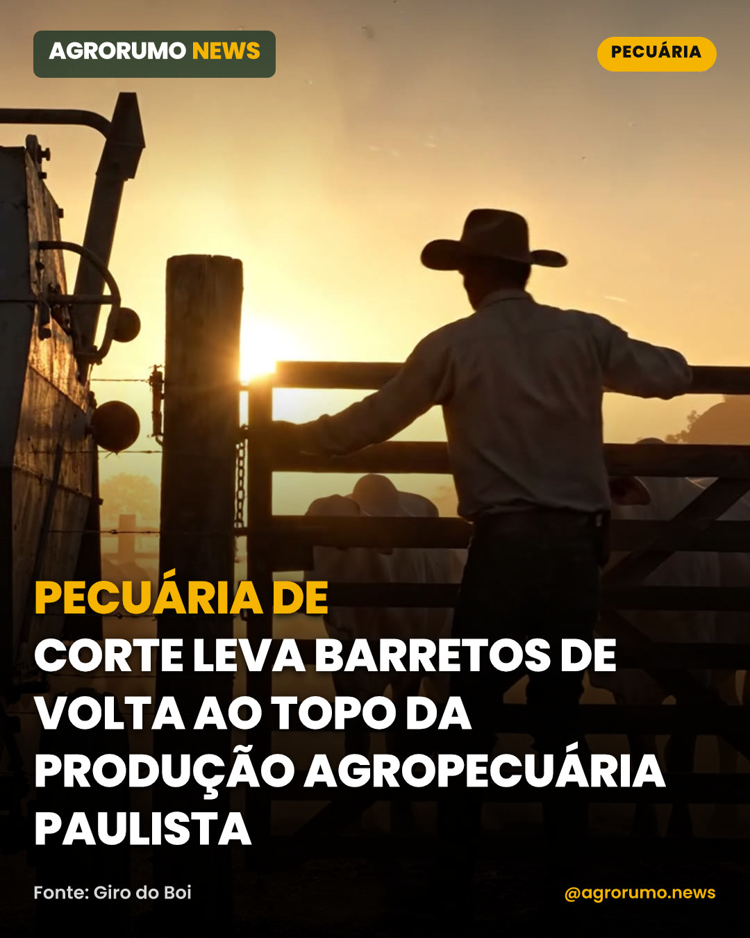 Pecuária de corte leva Barretos de volta ao topo da produção agropecuária paulista