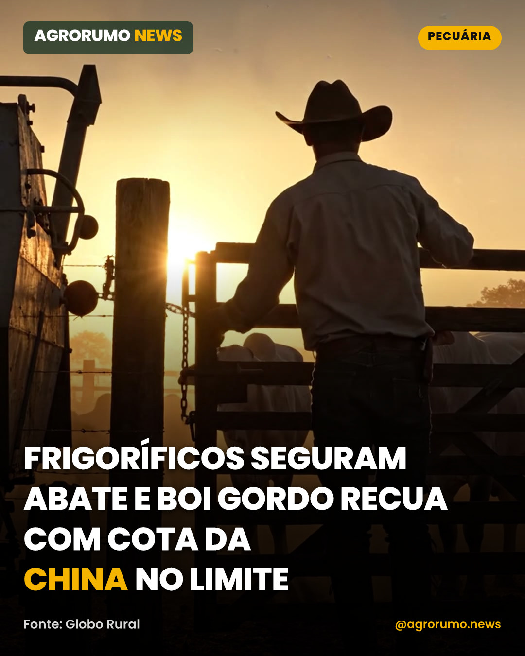 Frigoríficos seguram abate e boi gordo recua com cota da China no limite