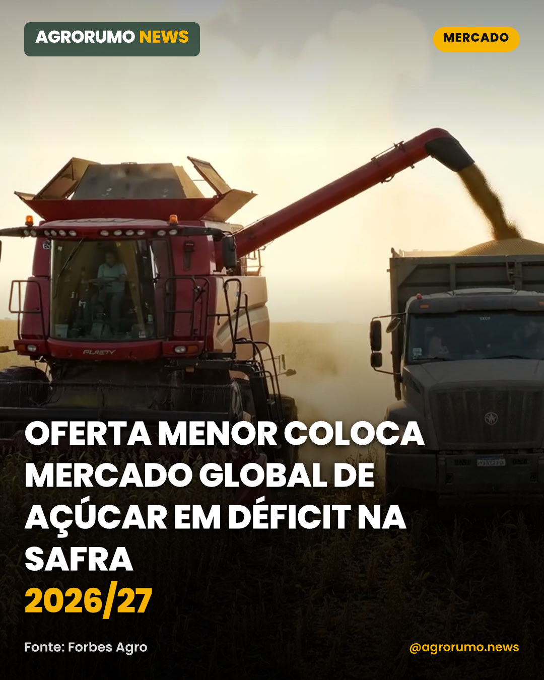Oferta menor coloca mercado global de açúcar em déficit na safra 2026/27