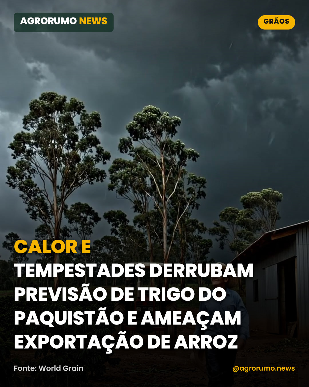 Calor e tempestades derrubam previsão de trigo do Paquistão e ameaçam exportação de arroz