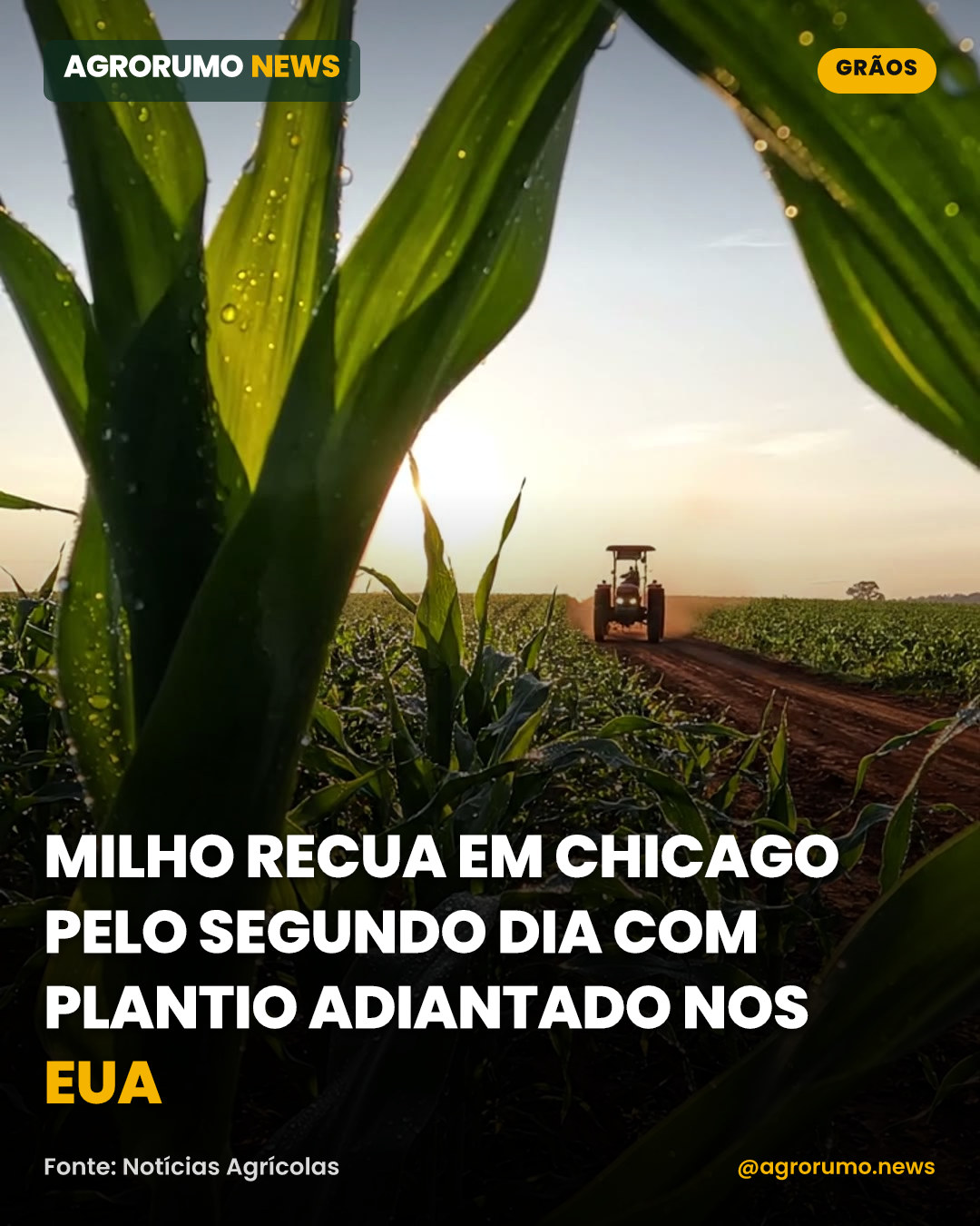 Milho recua em Chicago pelo segundo dia com plantio adiantado nos EUA