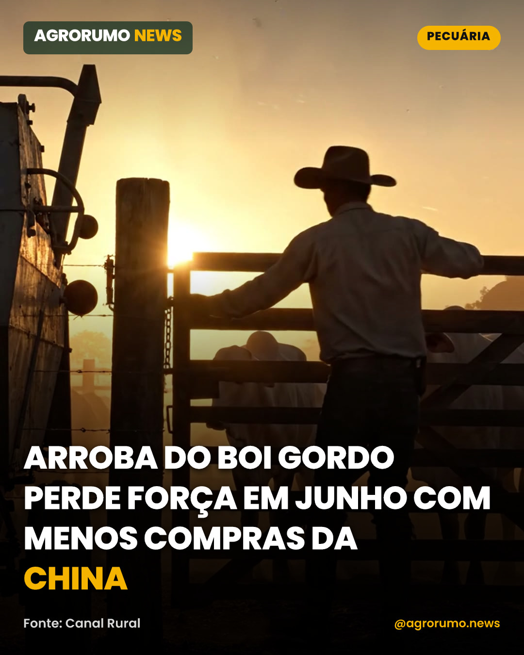 Arroba do boi gordo perde força em junho com menos compras da China