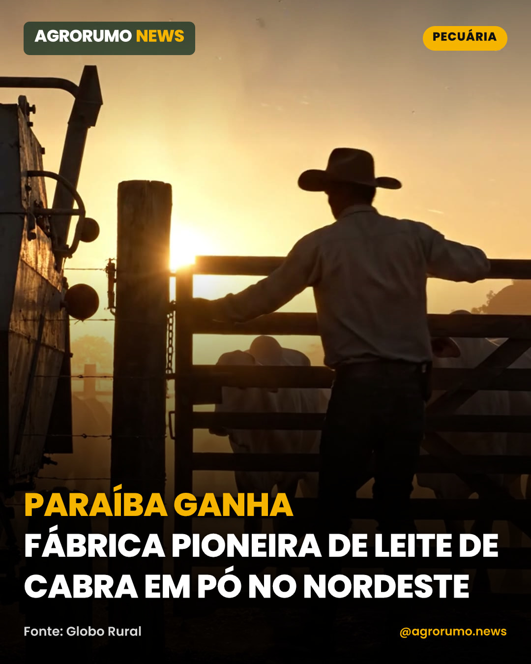 Paraíba ganha fábrica pioneira de leite de cabra em pó no Nordeste