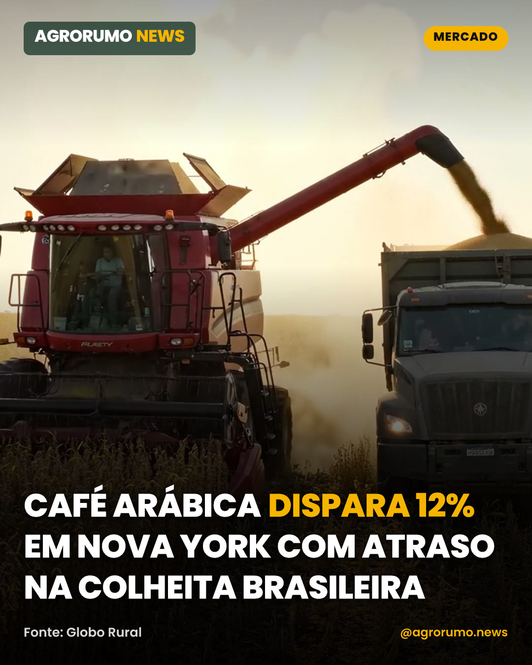 Café arábica dispara 12% em Nova York com atraso na colheita brasileira