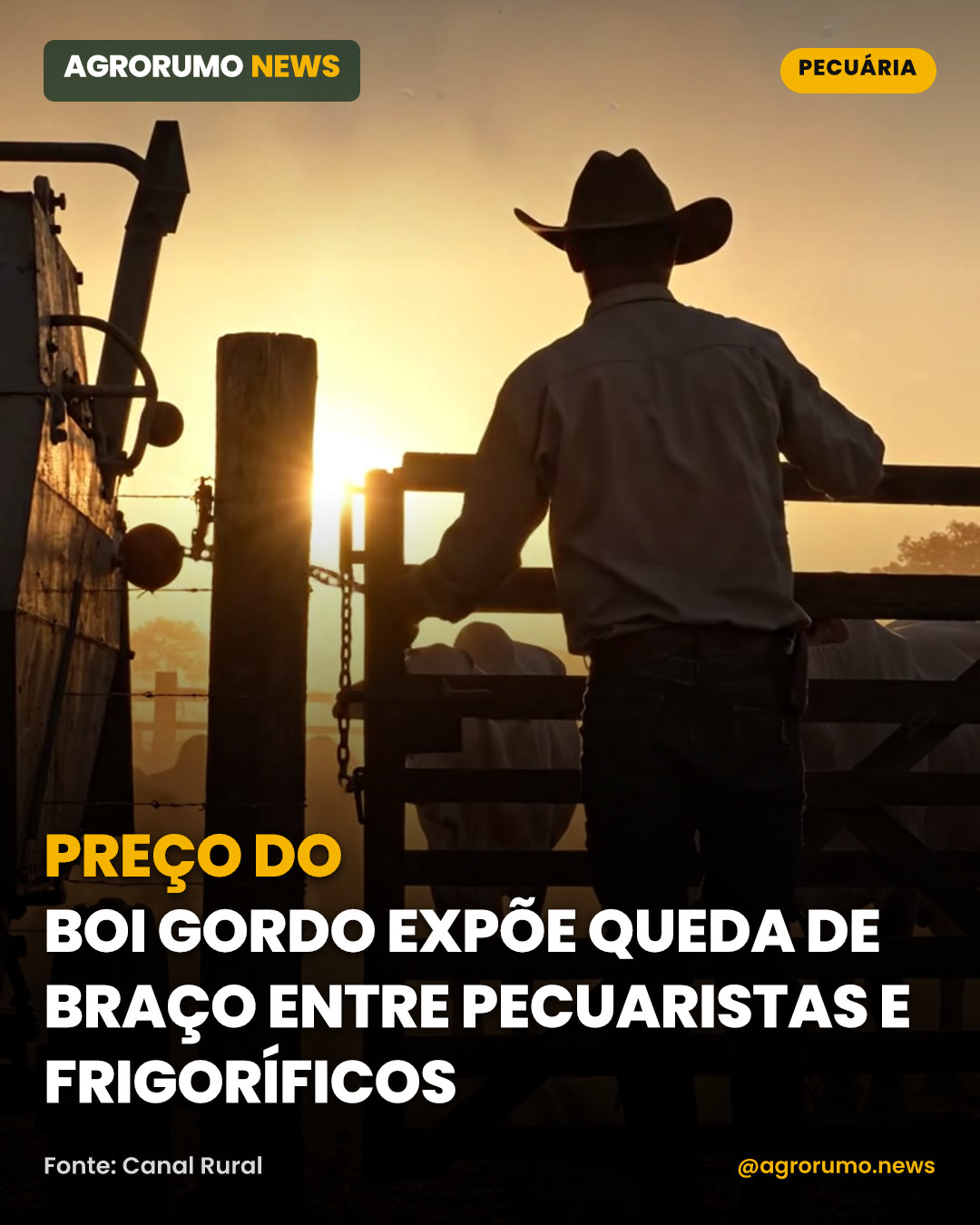 Preço do boi gordo expõe queda de braço entre pecuaristas e frigoríficos