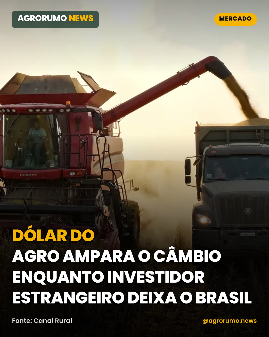 Dólar do agro ampara o câmbio enquanto investidor estrangeiro deixa o Brasil