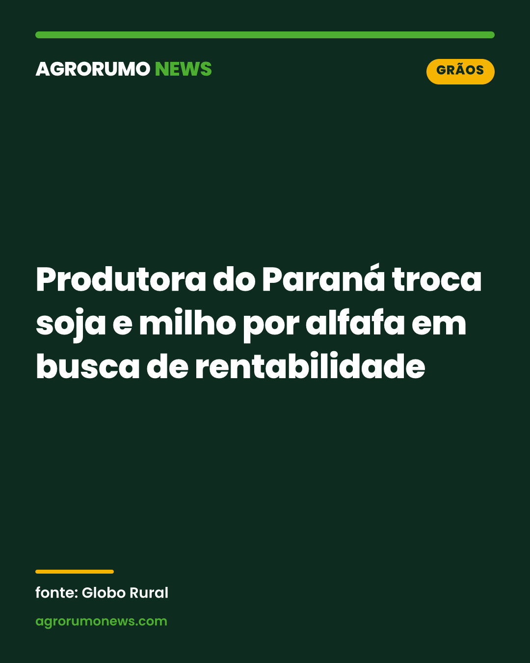 Produtora do Paraná troca soja e milho por alfafa em busca de rentabilidade