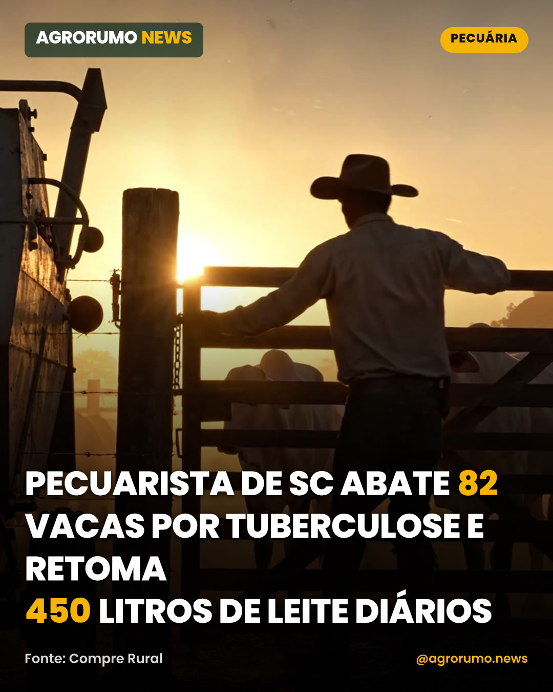 Pecuarista de SC abate 82 vacas por tuberculose e retoma 450 litros de leite diários