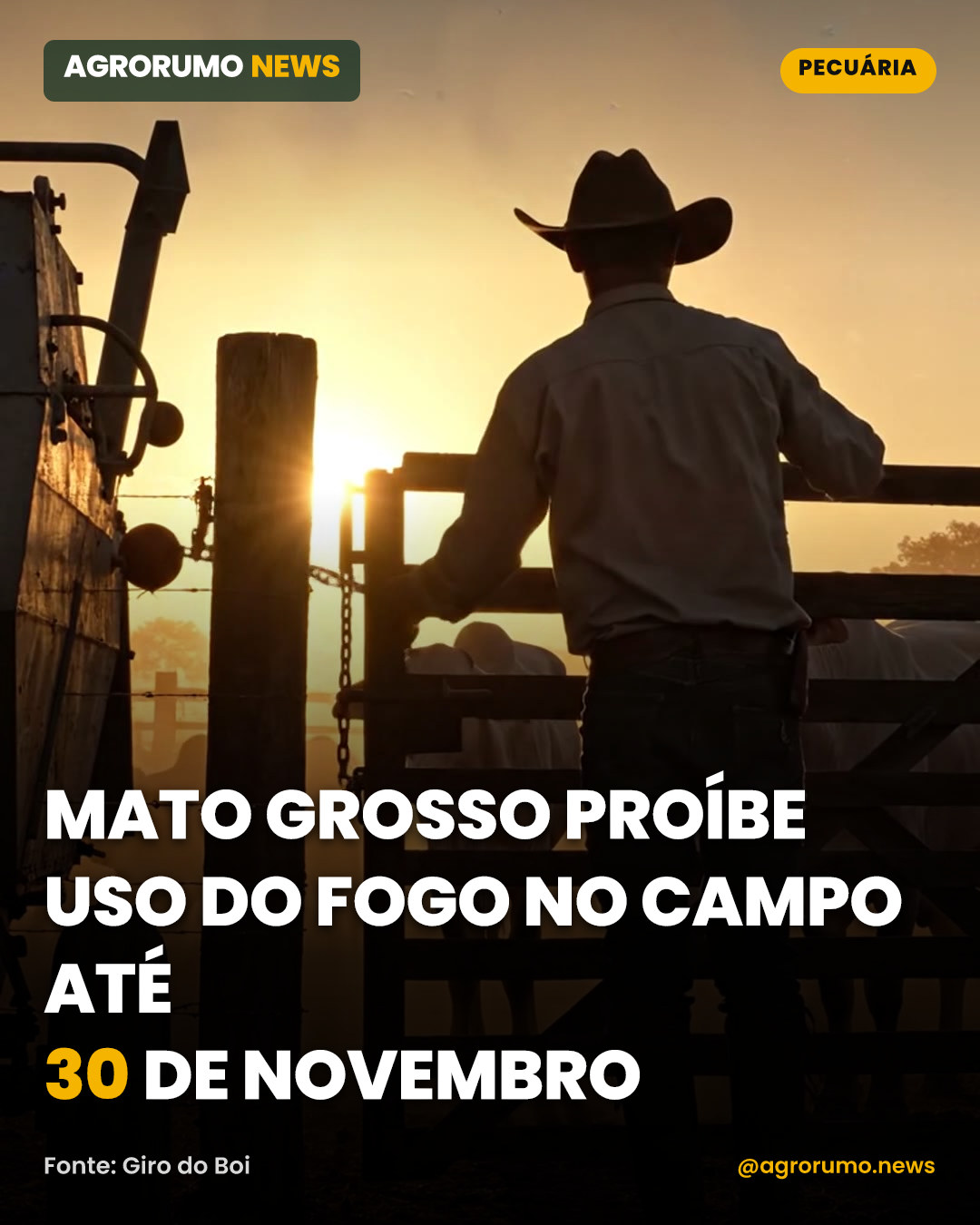 Mato Grosso proíbe uso do fogo no campo até 30 de novembro