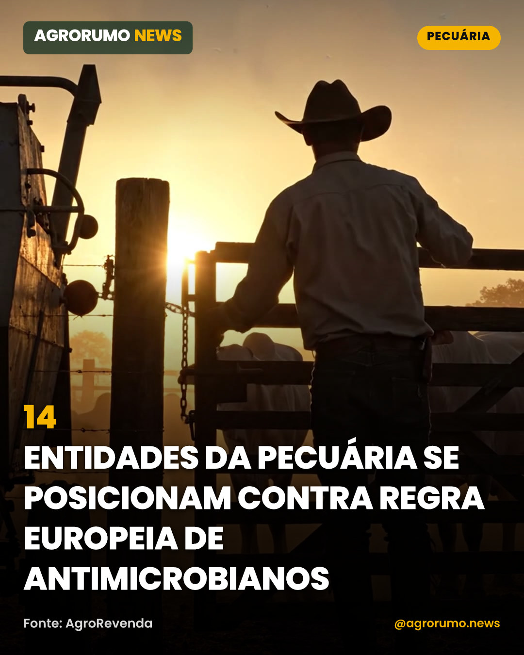 14 entidades da pecuária se posicionam contra regra europeia de antimicrobianos