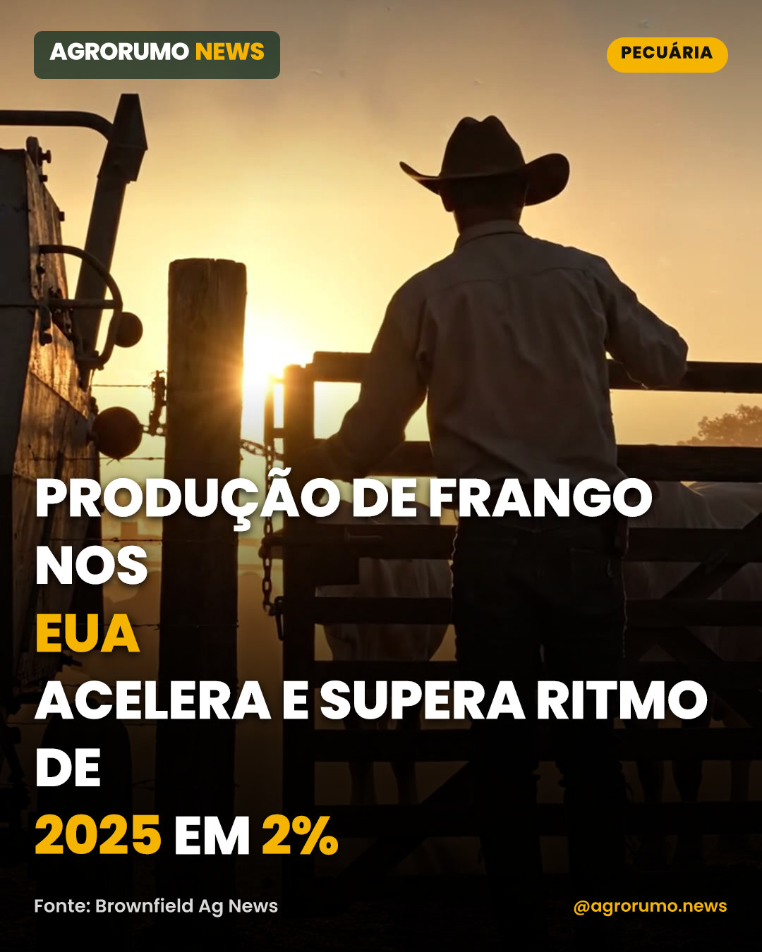 Produção de frango nos EUA acelera e supera ritmo de 2025 em 2%