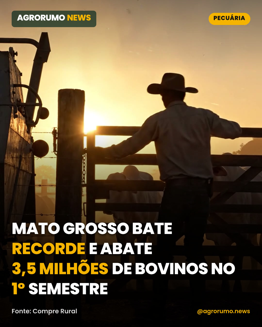 Mato Grosso bate recorde e abate 3,5 milhões de bovinos no 1º semestre