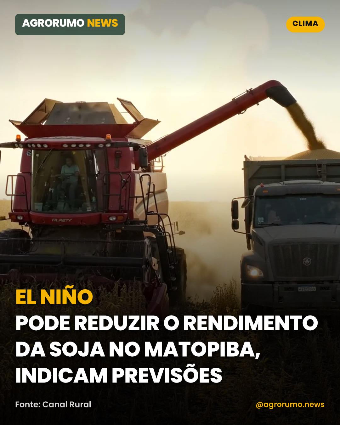 El Niño pode reduzir o rendimento da soja no Matopiba, indicam previsões