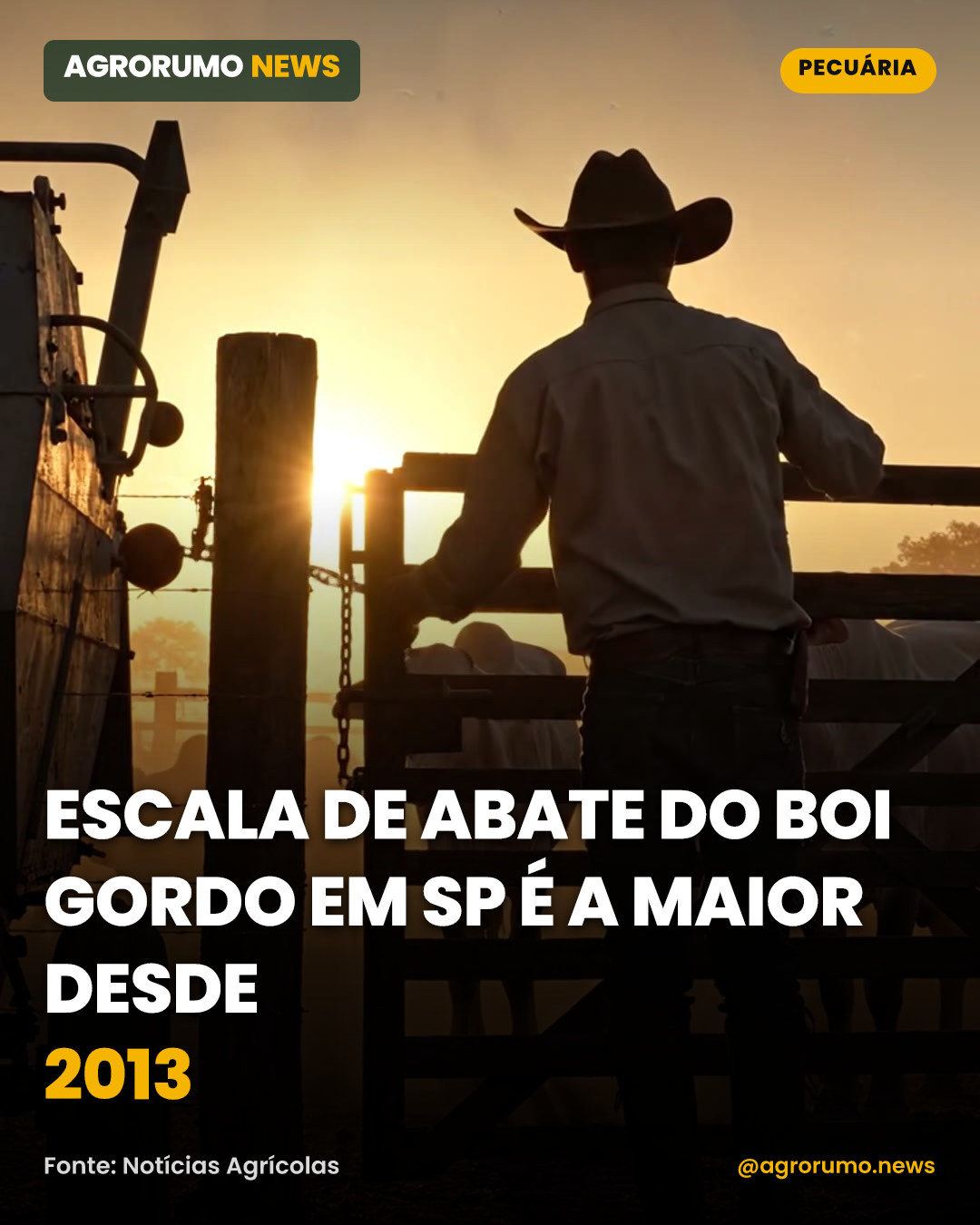 Escala de abate do boi gordo em SP é a maior desde 2013