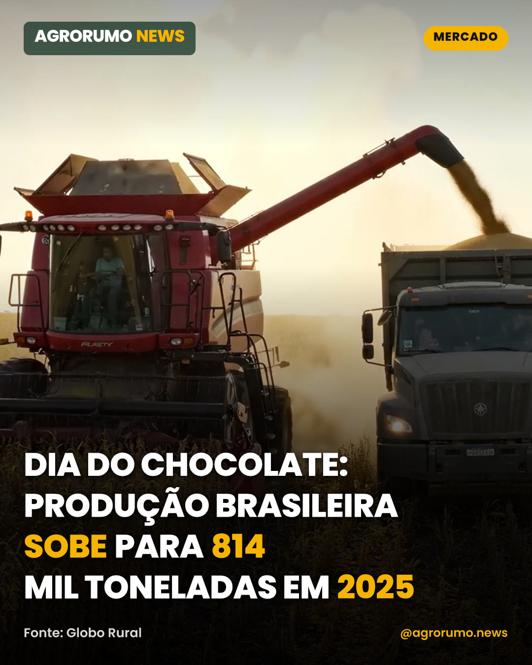 Dia do Chocolate: produção brasileira sobe para 814 mil toneladas em 2025