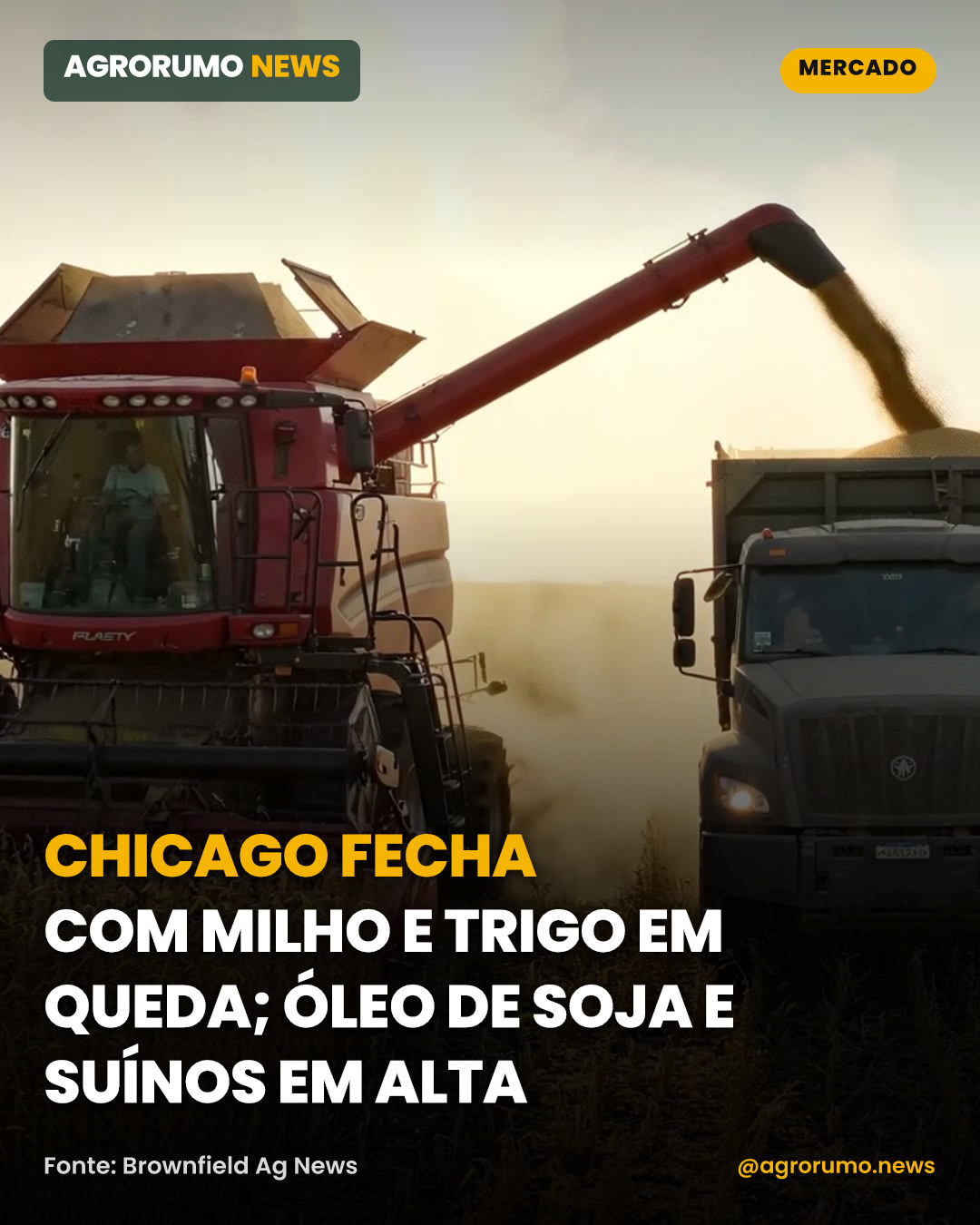 Chicago fecha com milho e trigo em queda; óleo de soja e suínos em alta