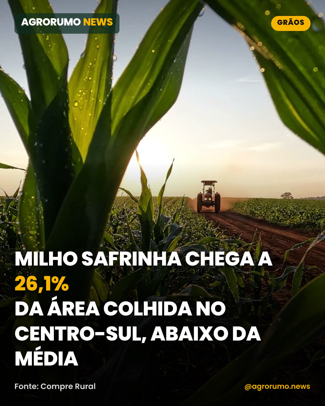 Milho safrinha chega a 26,1% da área colhida no Centro-Sul, abaixo da média