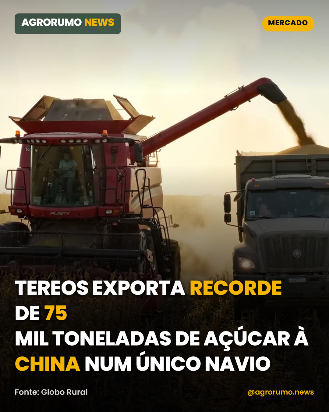 Tereos exporta recorde de 75 mil toneladas de açúcar à China num único navio