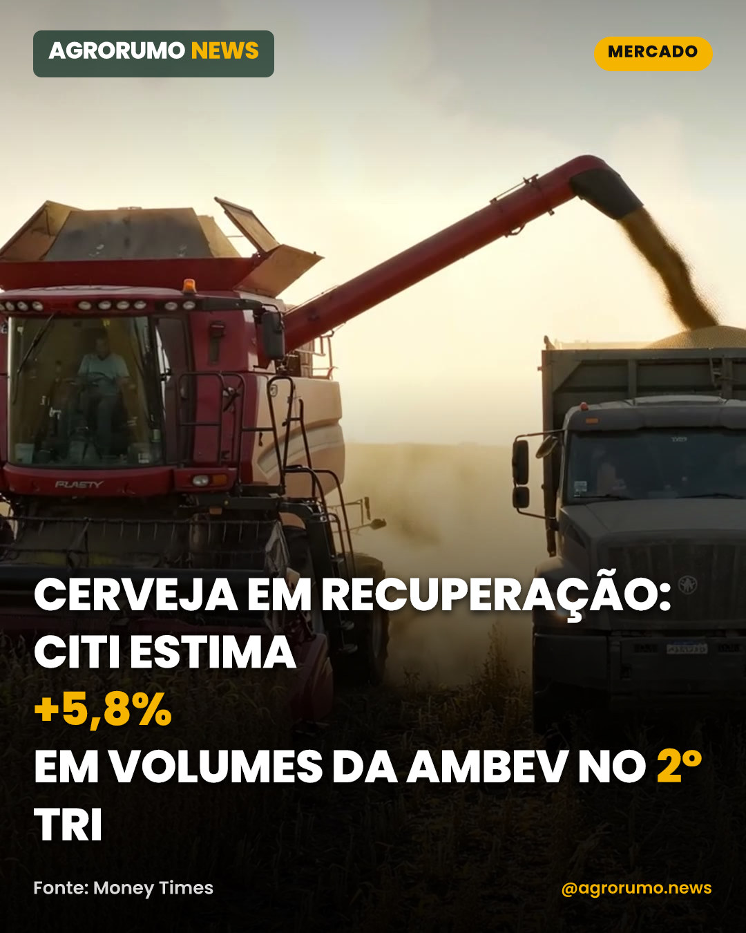 Cerveja em recuperação: Citi estima +5,8% em volumes da Ambev no 2º tri