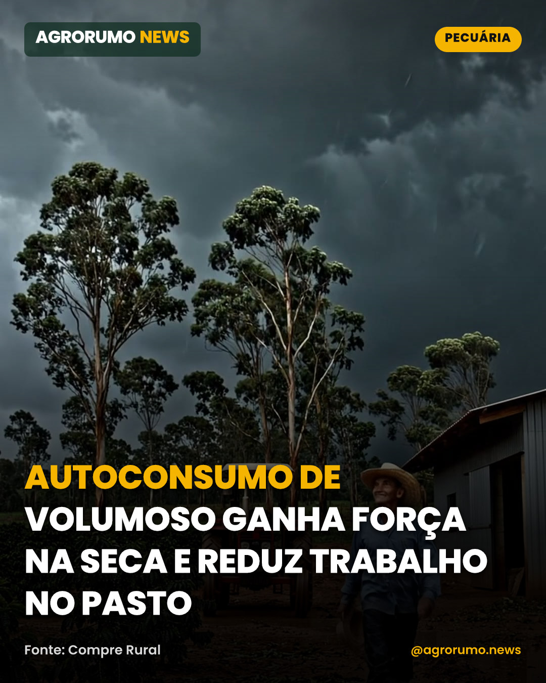 Autoconsumo de volumoso ganha força na seca e reduz trabalho no pasto