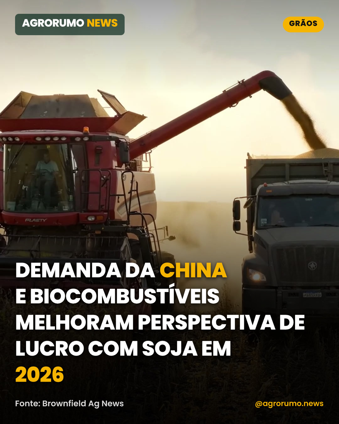 Demanda da China e biocombustíveis melhoram perspectiva de lucro com soja em 2026