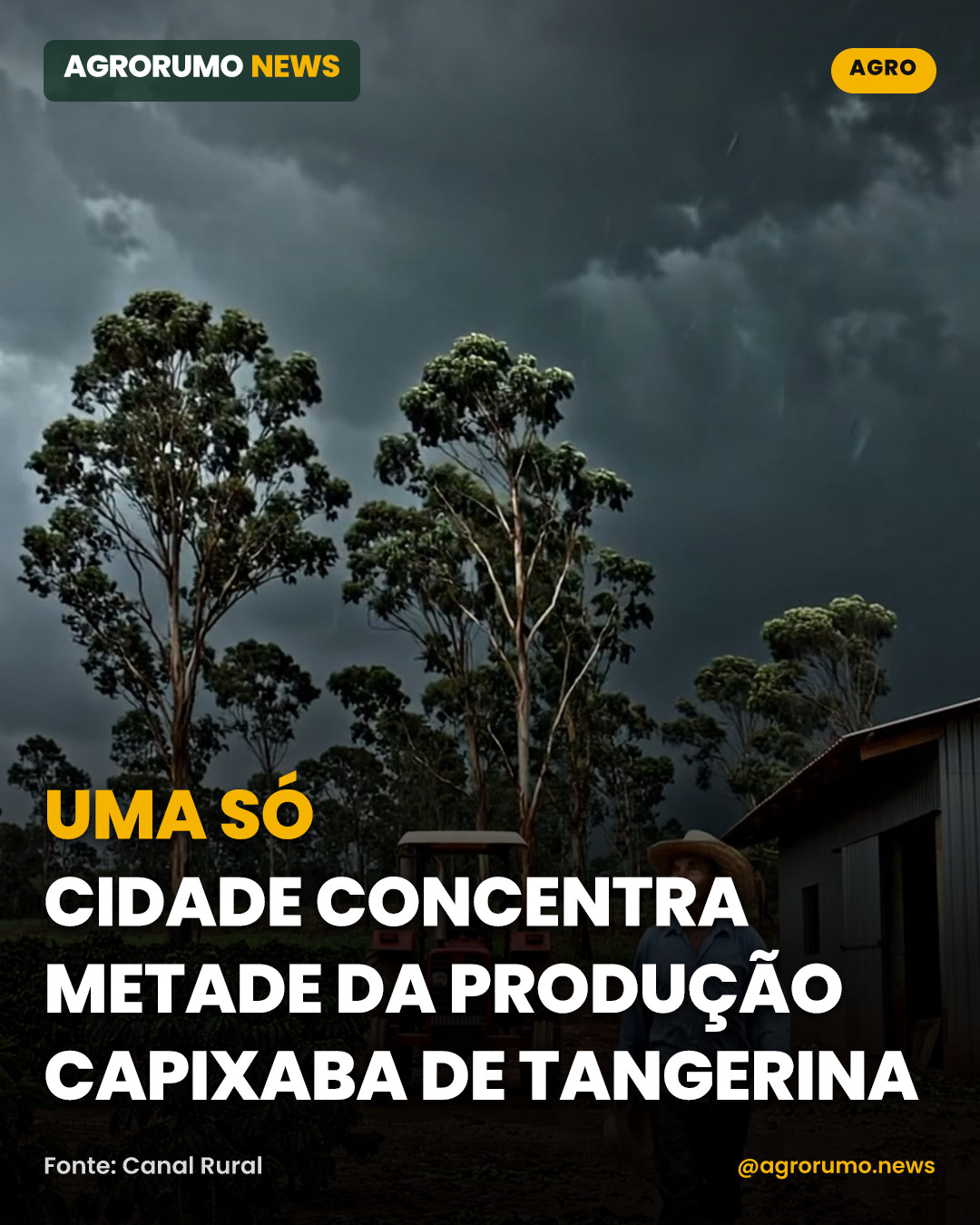 Uma só cidade concentra metade da produção capixaba de tangerina