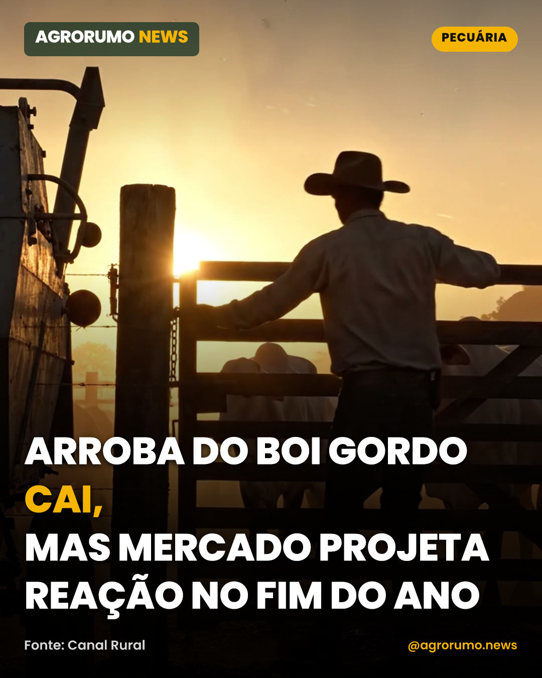 Arroba do boi gordo cai, mas mercado projeta reação no fim do ano