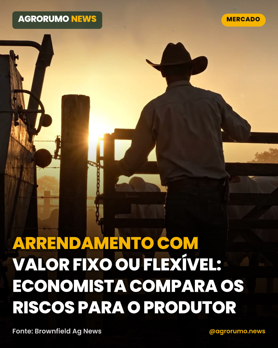 Arrendamento com valor fixo ou flexível: economista compara os riscos para o produtor
