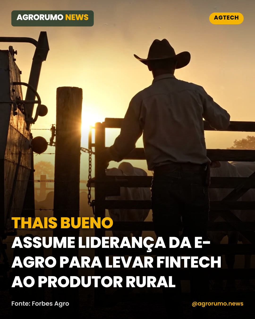 Thais Bueno assume liderança da E-agro para levar fintech ao produtor rural