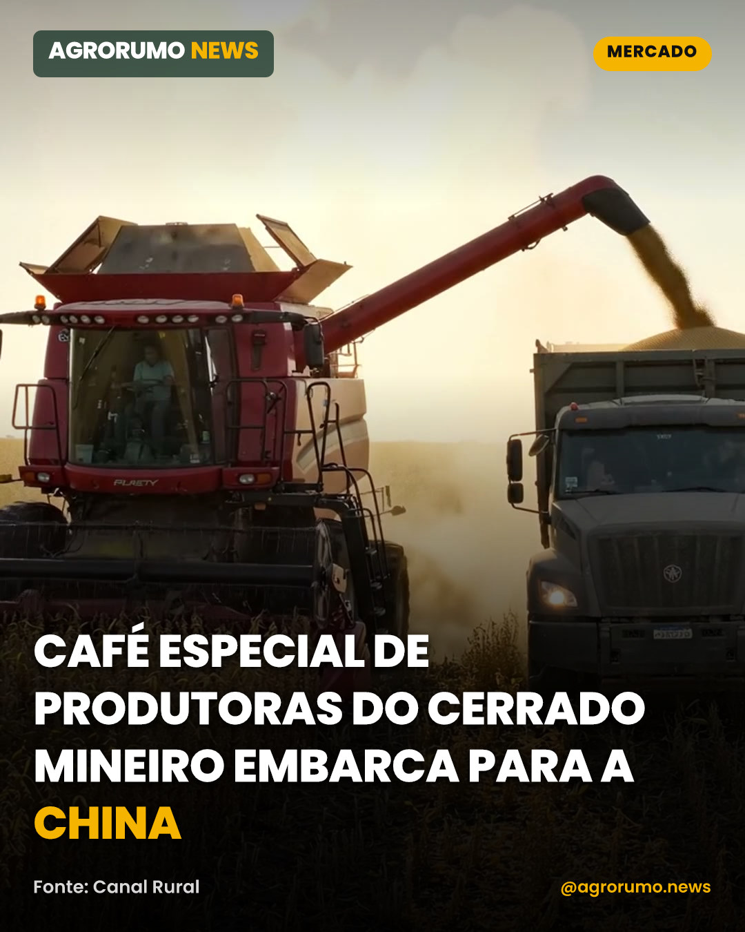 Café especial de produtoras do Cerrado mineiro embarca para a China