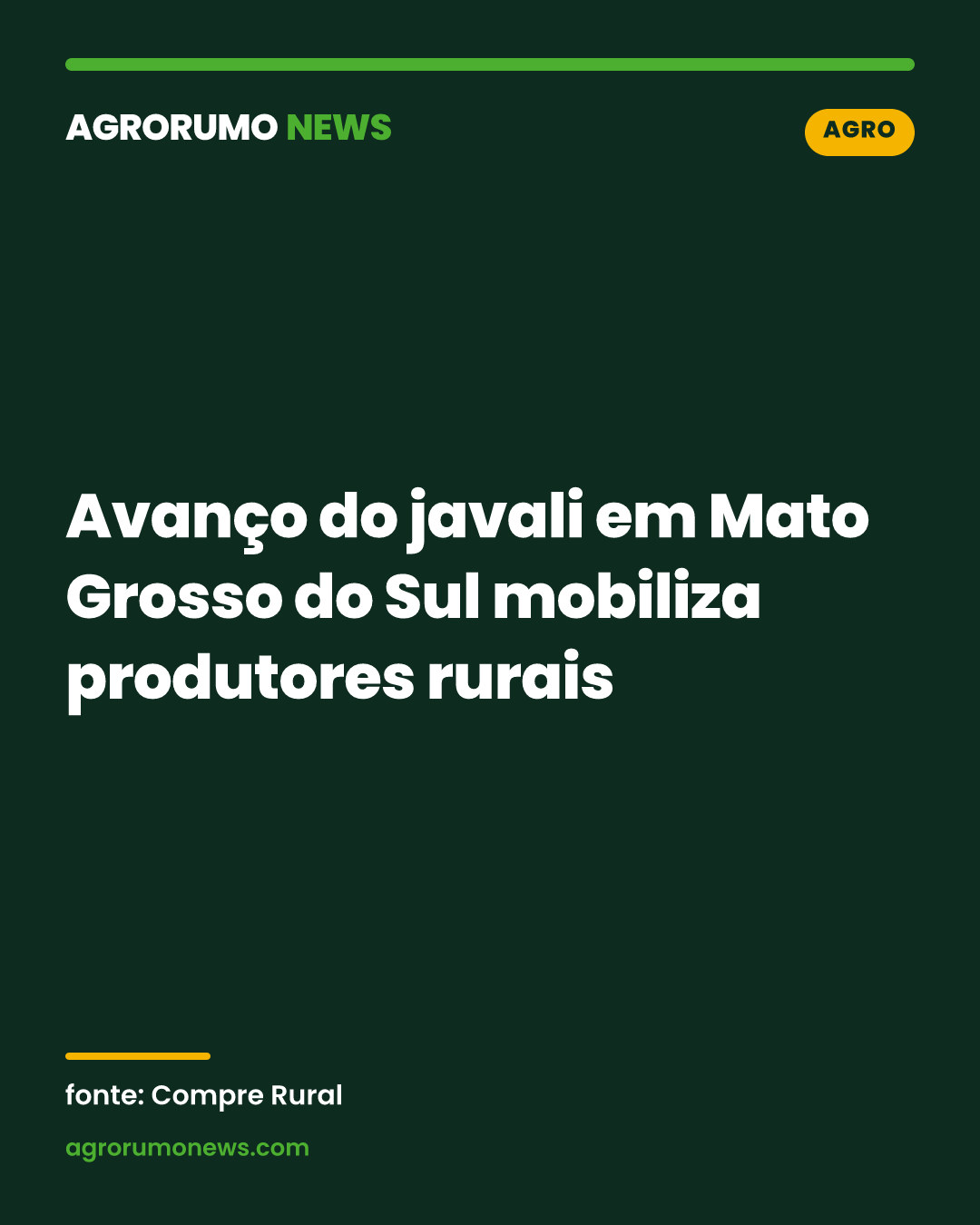 Avanço do javali em Mato Grosso do Sul mobiliza produtores rurais