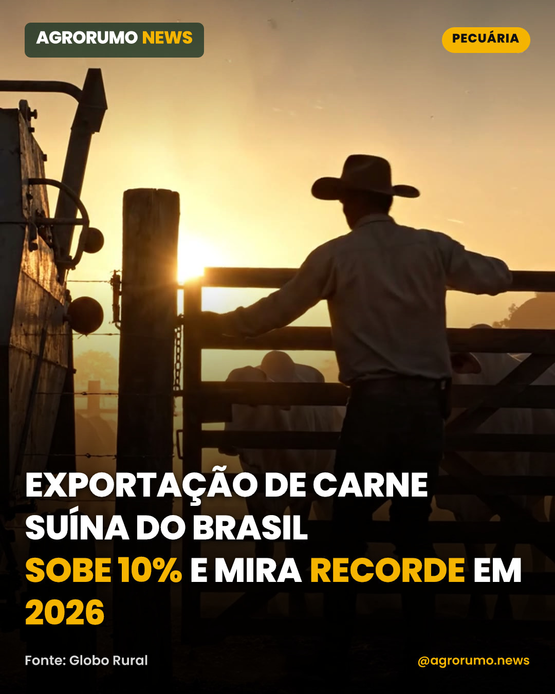 Exportação de carne suína do Brasil sobe 10% e mira recorde em 2026