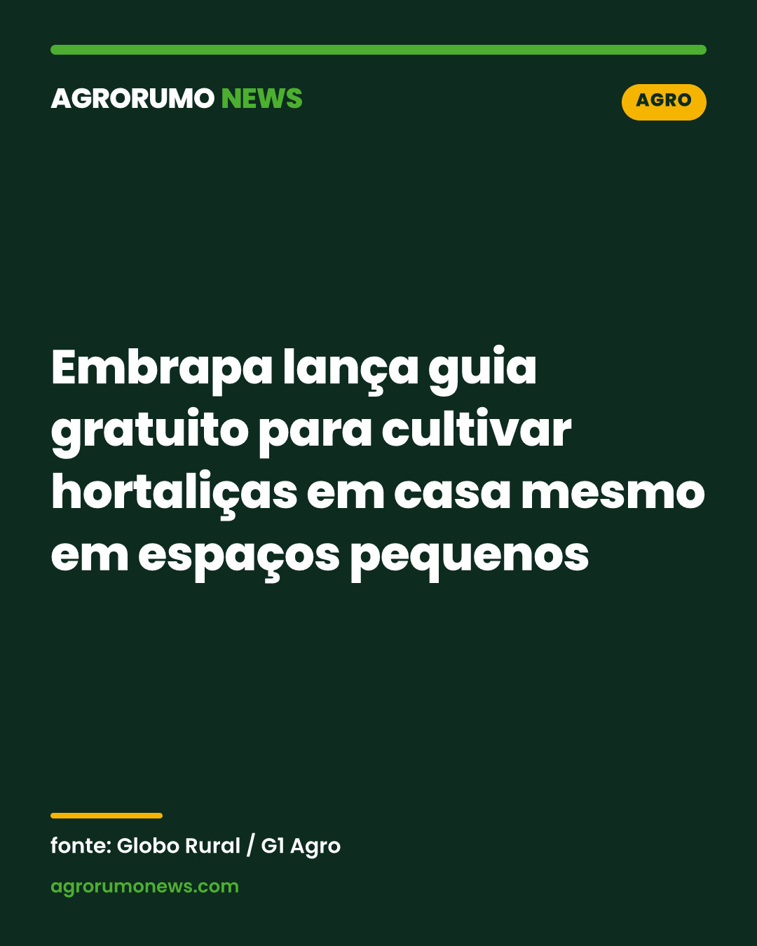 Embrapa lança guia gratuito para cultivar hortaliças em casa mesmo em espaços pequenos